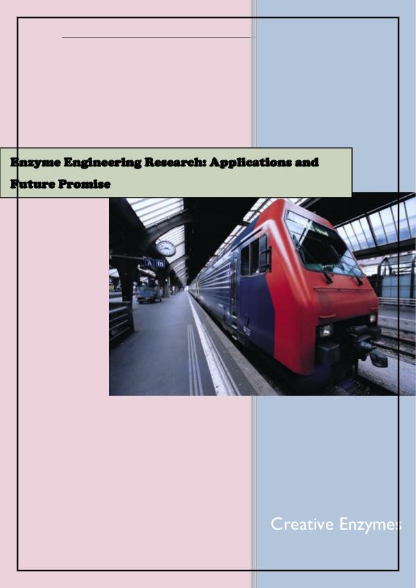 Creative Enzymes product Synzymes