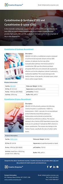 Creative Enzymes product