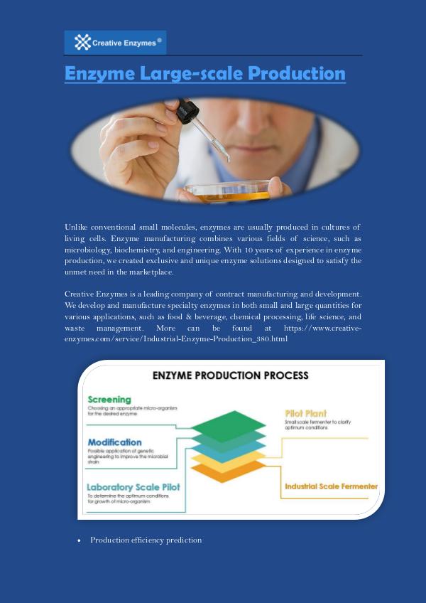 Enzyme Large-scale Production