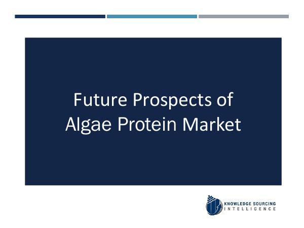 Algae Protein Market