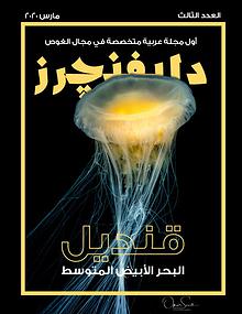 Diventures Magazine | مجلة دايفنچرز