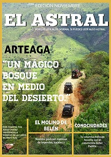 revista