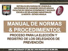 Manual de Normas y Procedimientos para la Elección y Registro de DP