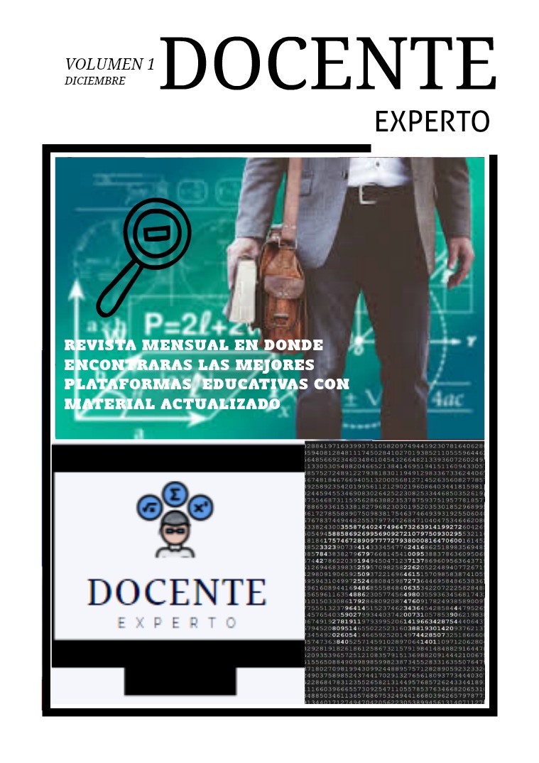 Docente experto 1