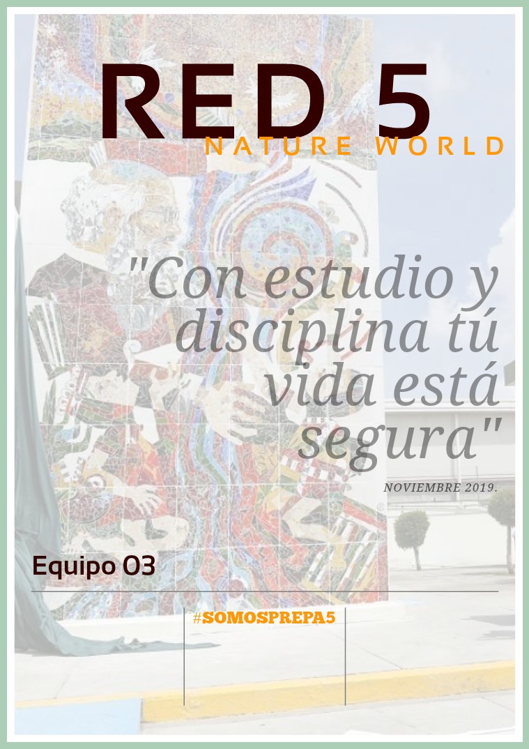 REVISTA TEMATICA RED 5