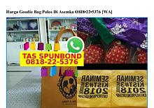 Harga Goodie Bag Polos Di Asemka 08I8 22 5376[wa]