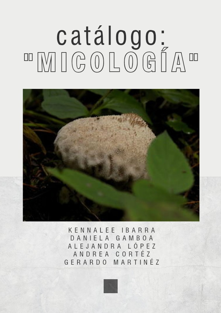 Micología 1