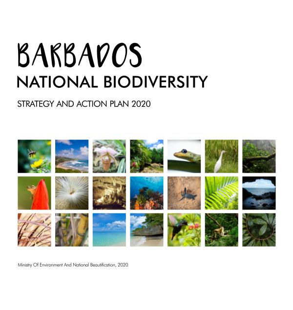 NBSAP BOOKLET 2020 TEST BdosNationalBiodiversityStrategyPlan-MinsEnviron&D