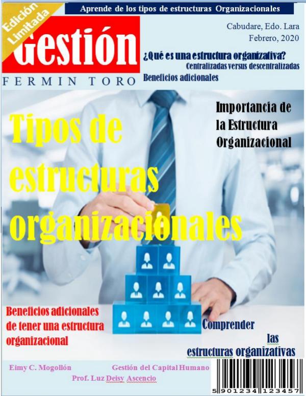 Estructura Organizacional MI REVISTA