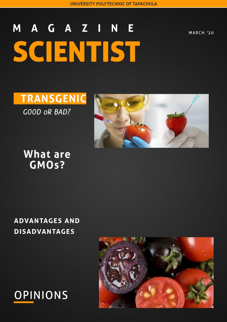 TRANSGENIC-GOOD OR BAD? 1