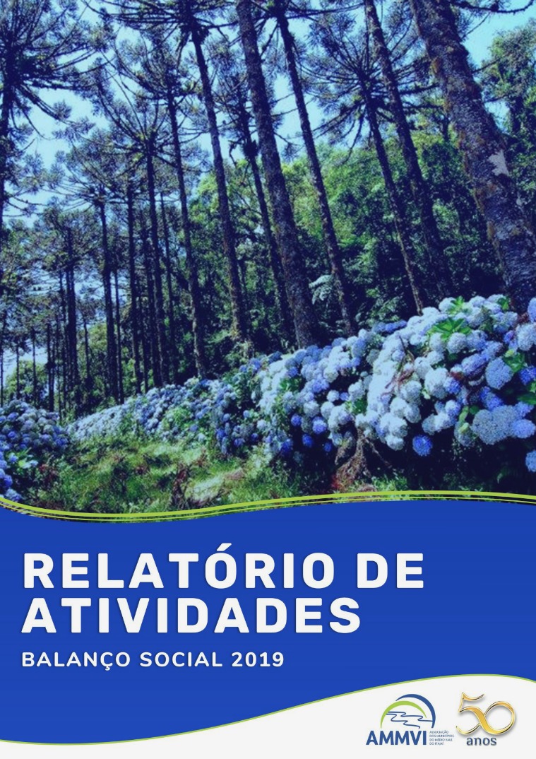 Relatório de atividdades AMMVI 2019 Relatório de atividades - 2019