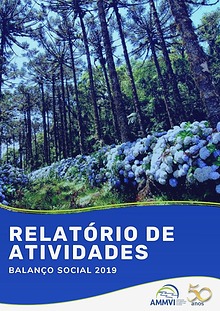 Relatório de atividdades AMMVI 2019