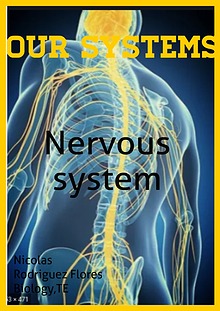 Nervous system