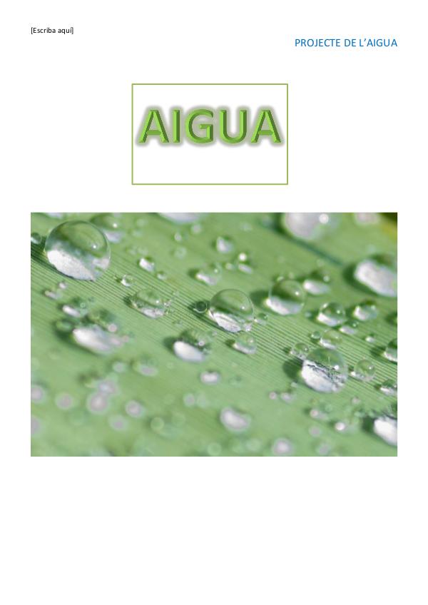 Projecte de l'aigua L'aigua