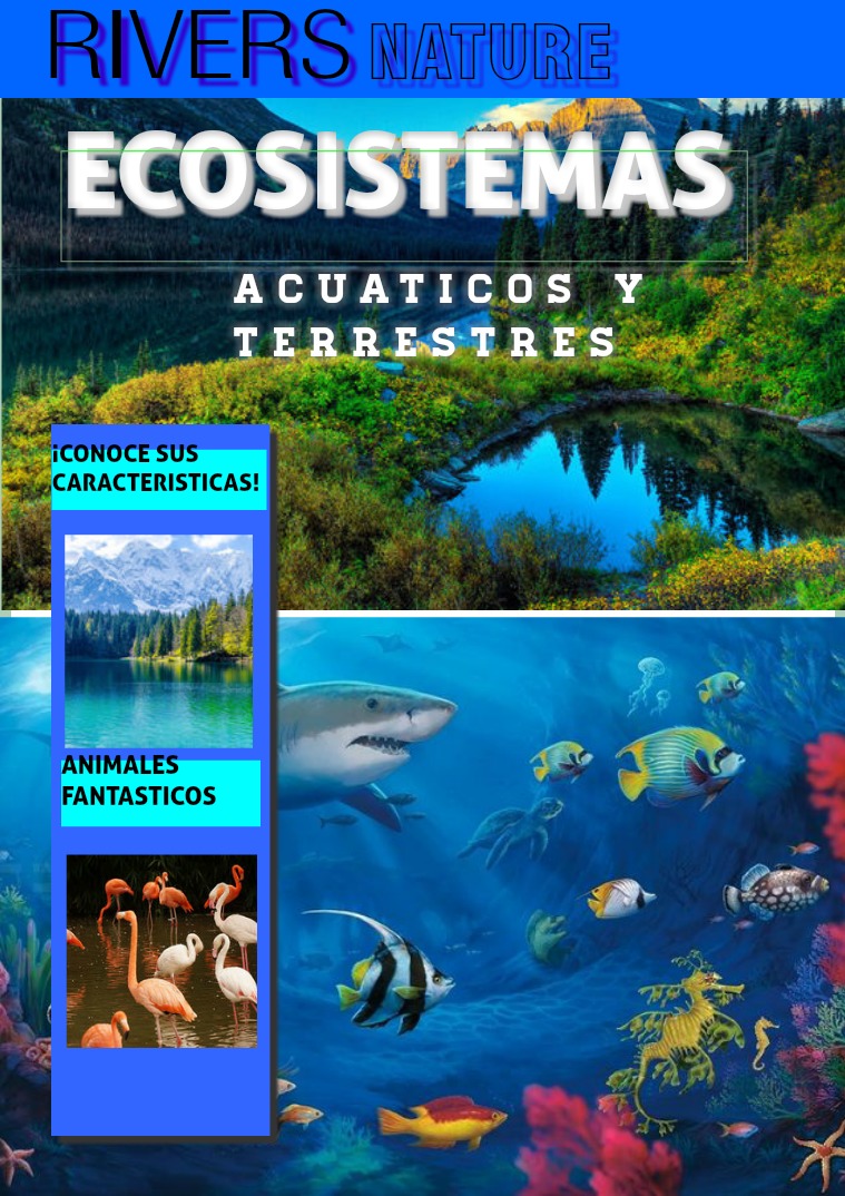 ECOSISTEMAS ACUACTICOS Y TERRESTRES ECOSISTEMA