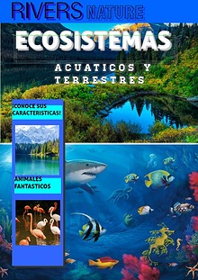 ECOSISTEMAS ACUACTICOS Y TERRESTRES