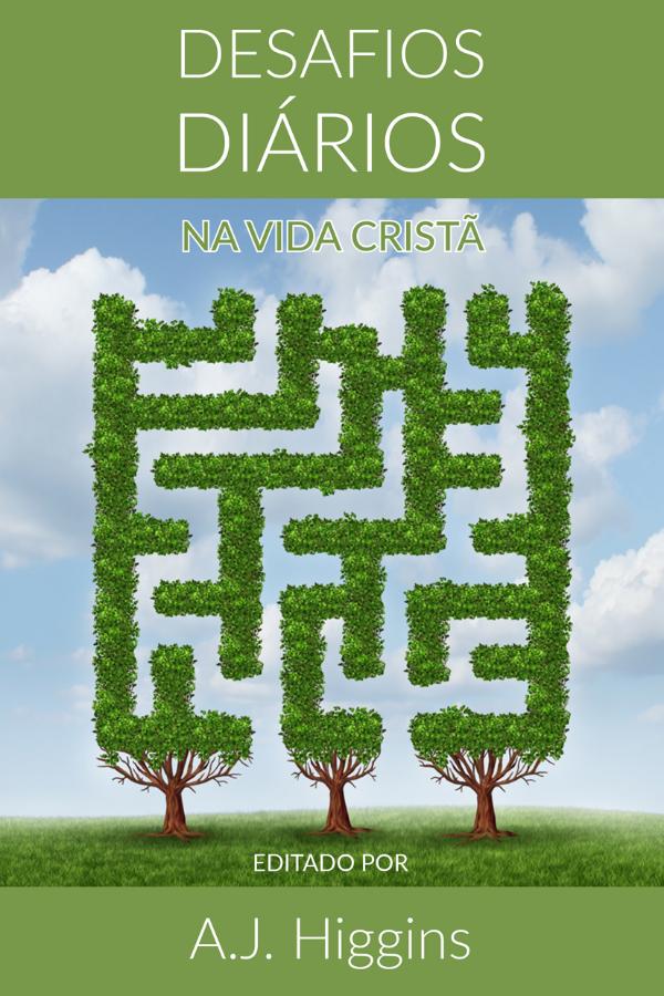 Livros Desafios diários na vida cristã