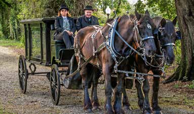 A horse-drawn hearse, provided by McEwen Funeral Home and Chapel of Pineville, circled the Hebrew Cemetery grounds.