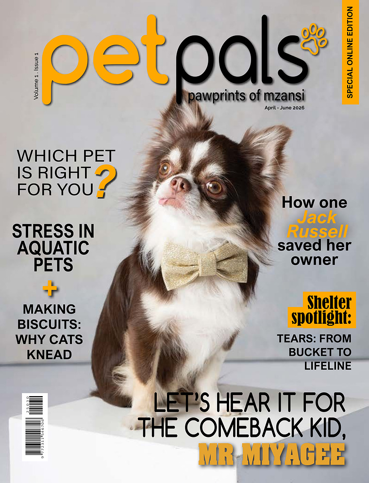 Pet Pals Volume 1 I Issue 1
