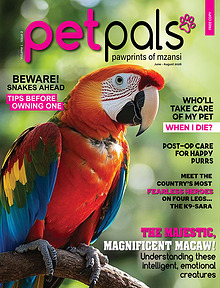 Pet Pals