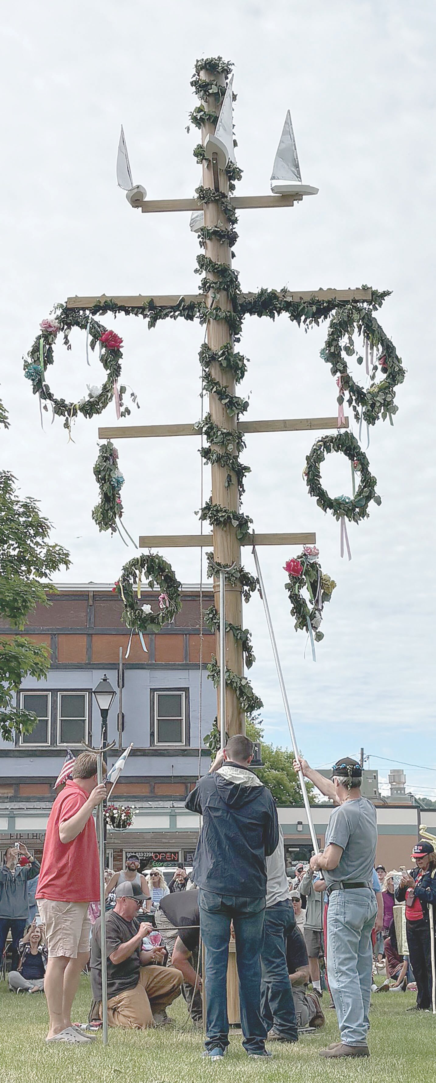 A tall, wooden Midsummer Pole decorated with green garlands and flower wreaths being raised into an upright position by a group of people using ropes outdoors.