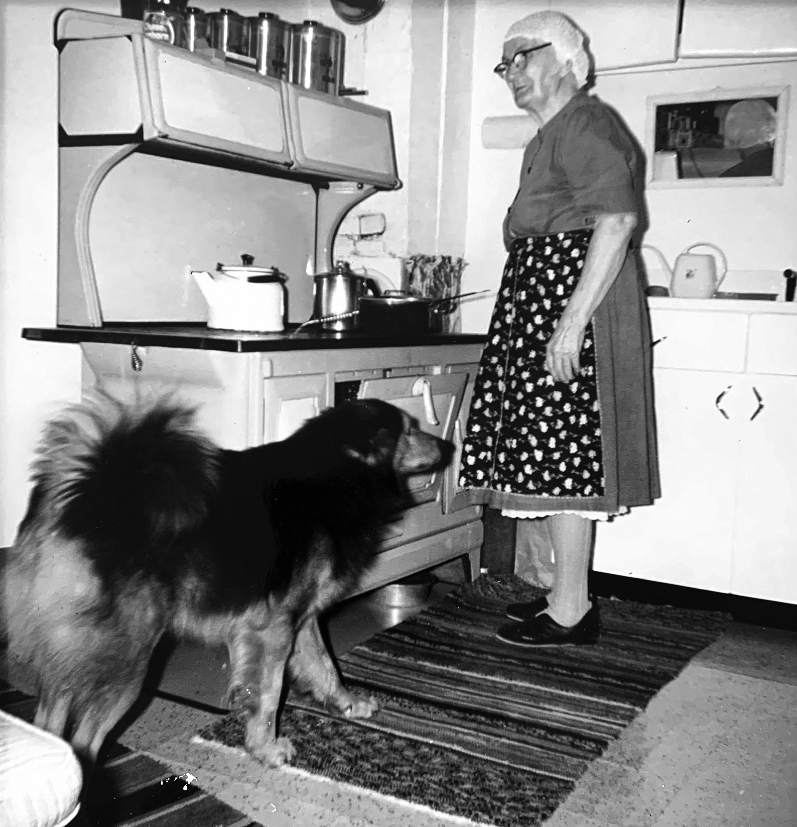 An elderly woman standing in a kitchen near a woodstove, wearing a headscarf and apron; a large dog stands on the rug in front of her.