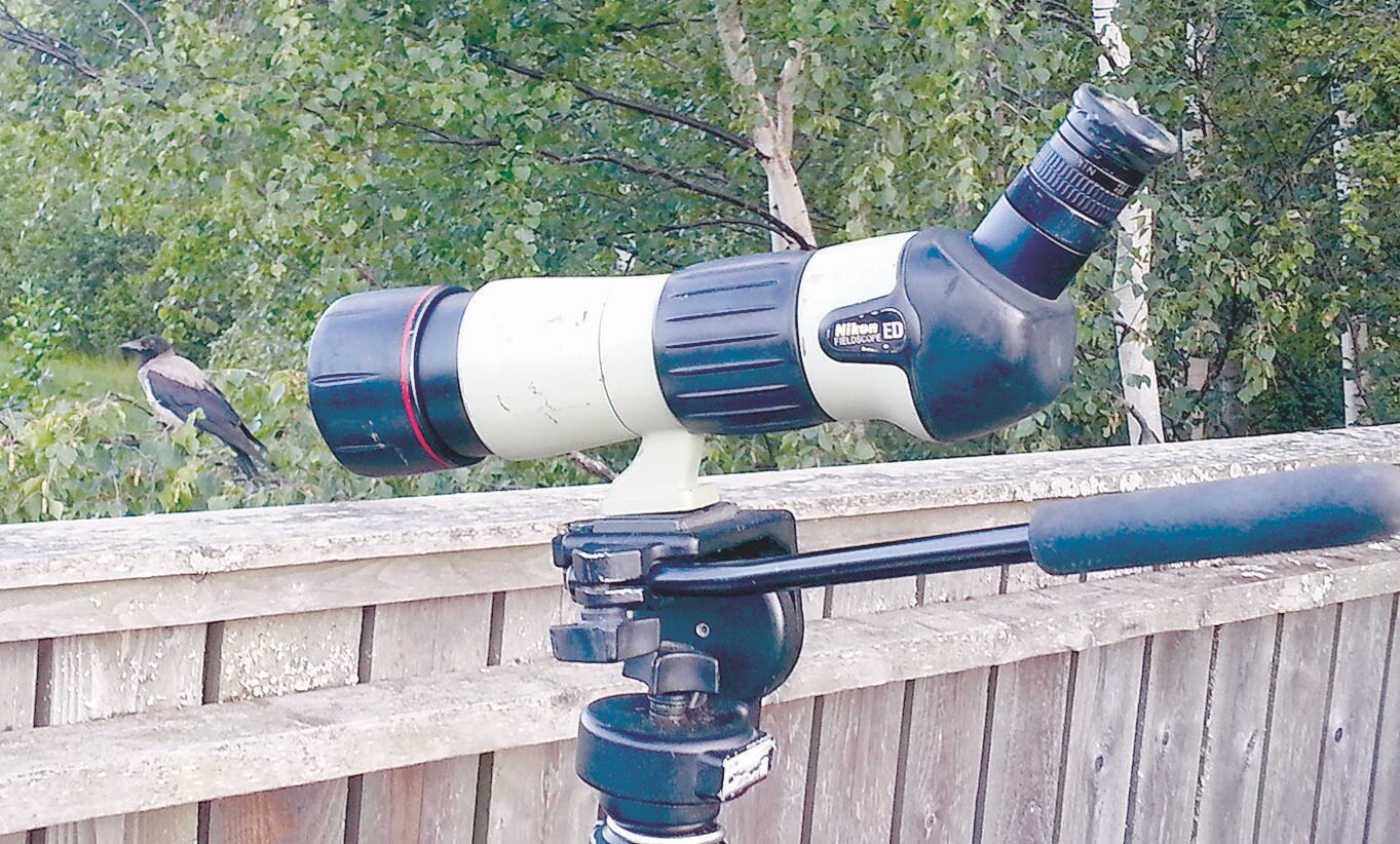 A high-quality spotting scope mounted on a tripod sits on a wooden railing. In the background, a bird is perched further along the same railing.