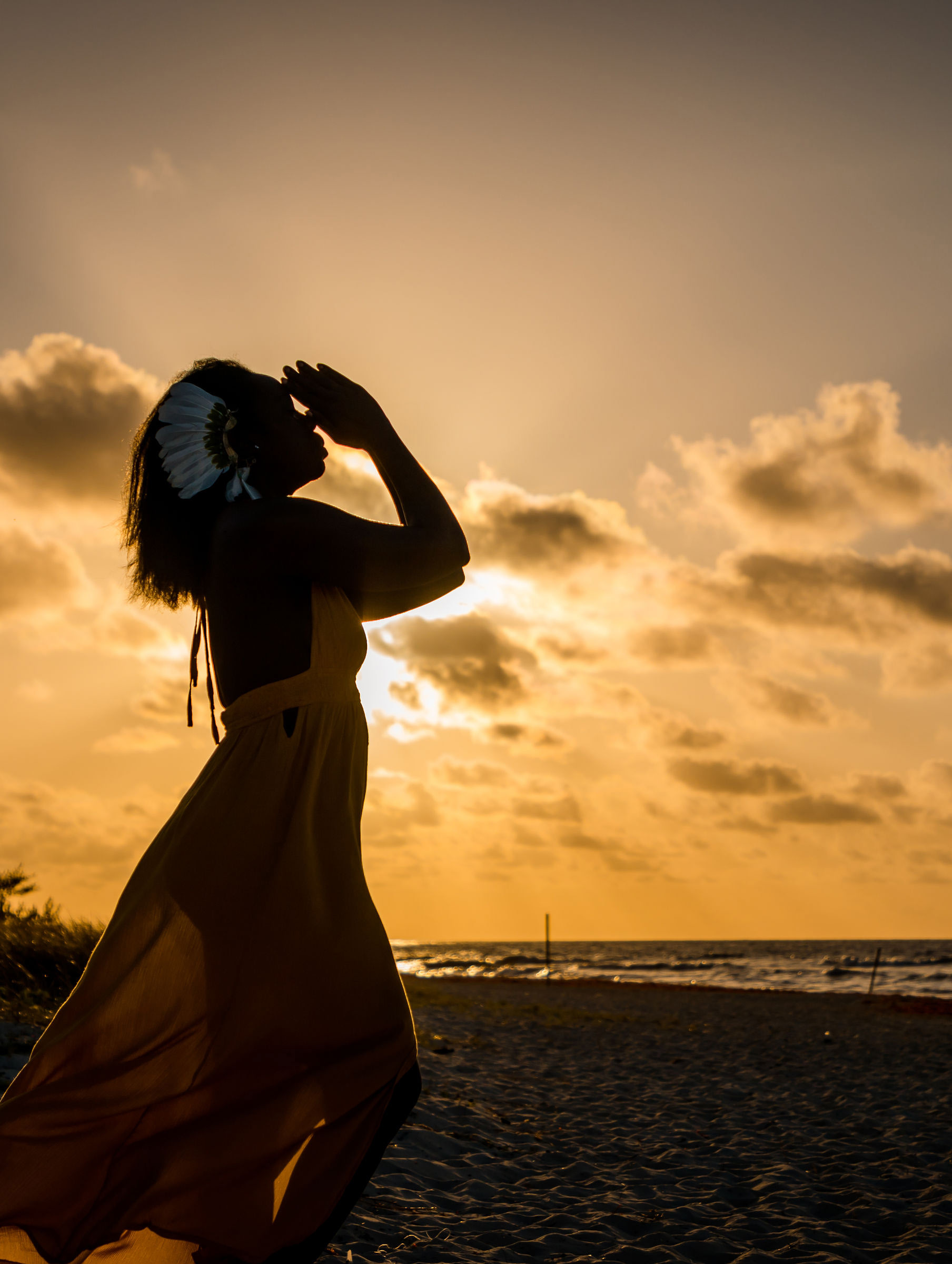 Vertical silhouette of a woman on a beach at sunset with a flowing dress and feathered hair accessory.